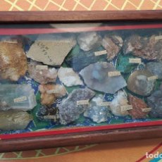 Coleccionismo de minerales: CAJA ANTIGUA CON FÓSILES Y MINERALES. Lote 294049608