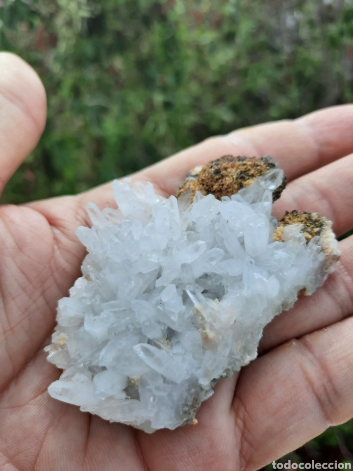 Coleccionismo de minerales: Hemimorfita ( 73 gramos ) - Foto 6 - 294860568