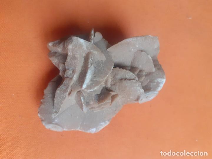 Coleccionismo de minerales: Rosa del desierto - Foto 2