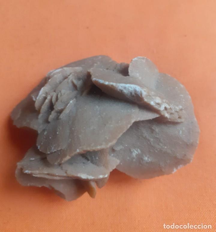Coleccionismo de minerales: Rosa del desierto - Foto 3
