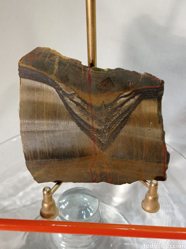 Coleccionismo de minerales: PLACA DE OJO DE TIGRE 9 CM - Foto 4