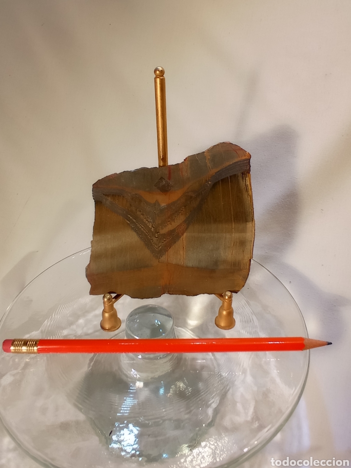 Coleccionismo de minerales: PLACA DE OJO DE TIGRE 9 CM - Foto 1
