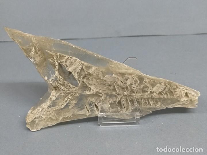 Coleccionismo de minerales: YESO - MINERAL - Foto 2