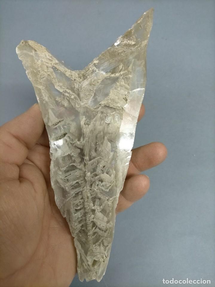 Coleccionismo de minerales: YESO - MINERAL - Foto 6