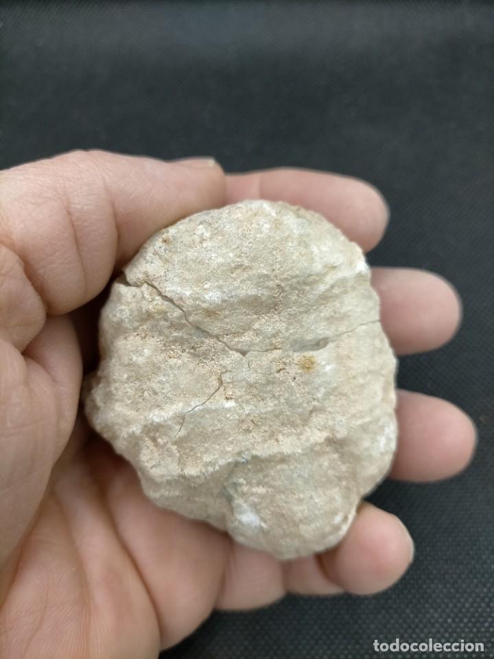 Coleccionismo de minerales: CUARZO - MINERAL. - Foto 2