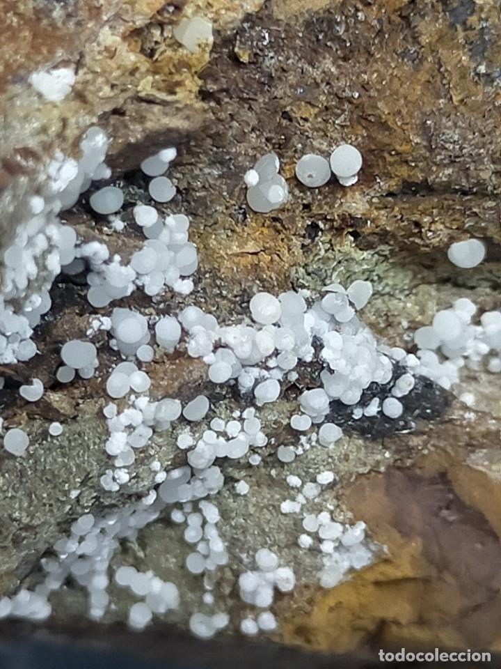 Coleccionismo de minerales: FLUORAPATITO - MINERAL - Foto 3