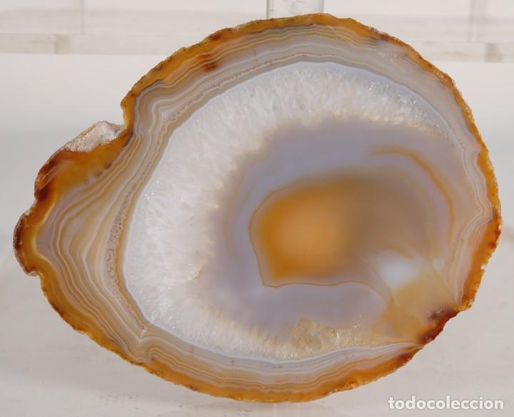 Coleccionismo de minerales: Posavaso en &aacute;gata pulida - Foto 2
