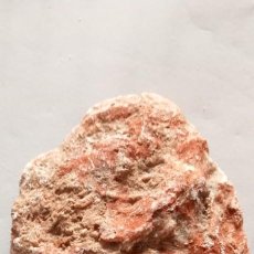 Coleccionismo de minerales: MINERAL O ROCA, FORMA DE CONCHA U OSTRA, PEQUEÑOS CRISTALES COLOR ROJIZO, EN BRUTO, POR DETERMINAR. Lote 350018389