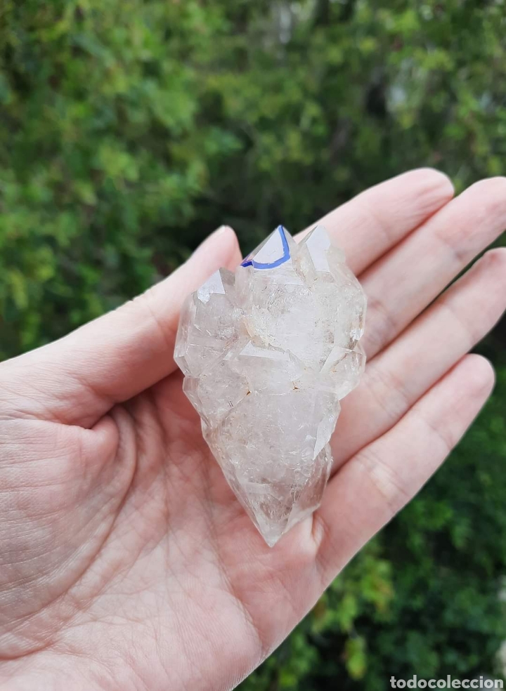 Coleccionismo de minerales: Cuarzo Maestro Elestial Enhydro. - Foto 6