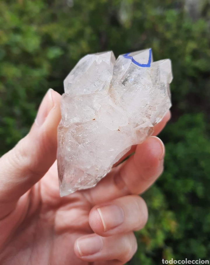 Coleccionismo de minerales: Cuarzo Maestro Elestial Enhydro. - Foto 7
