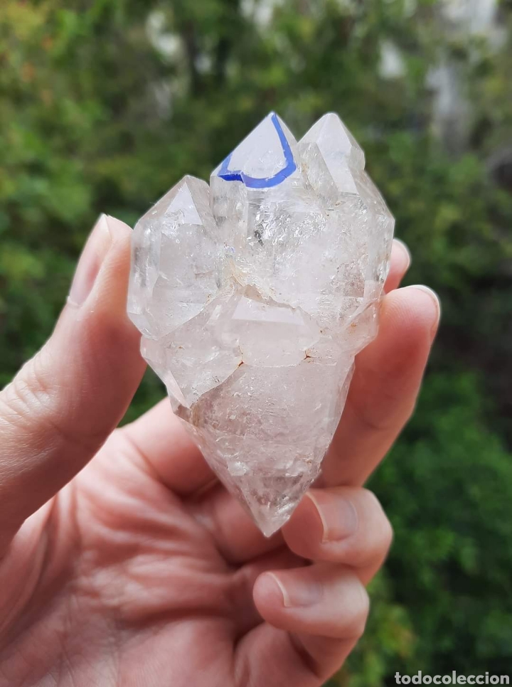 Coleccionismo de minerales: Cuarzo Maestro Elestial Enhydro. - Foto 1