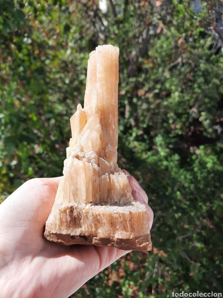 Coleccionismo de minerales: Calcita Miel - Foto 2