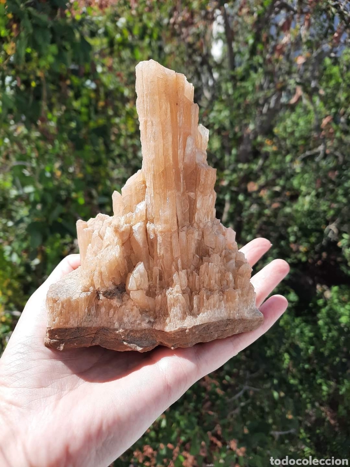 Coleccionismo de minerales: Calcita Miel - Foto 3