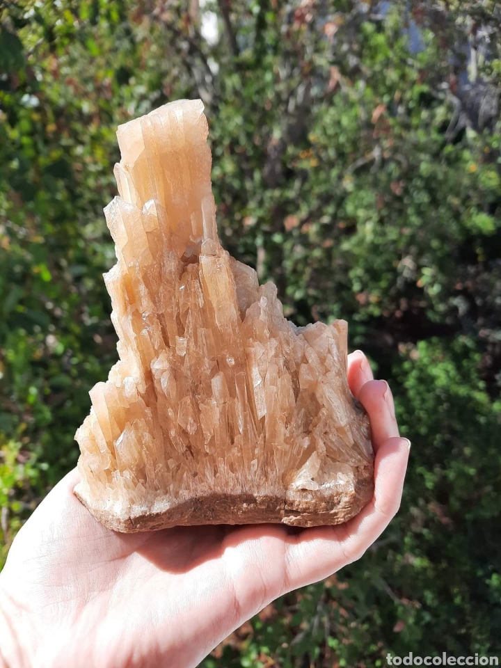 Coleccionismo de minerales: Calcita Miel - Foto 4
