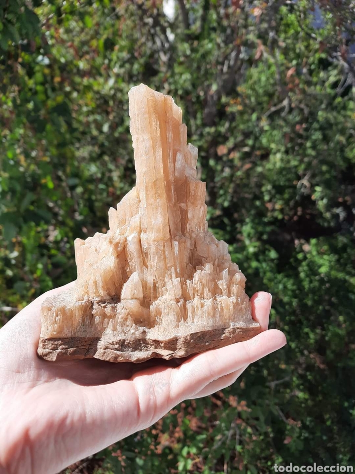 Coleccionismo de minerales: Calcita Miel - Foto 5
