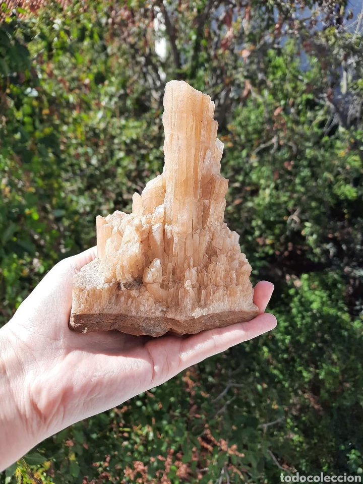 Coleccionismo de minerales: Calcita Miel - Foto 6