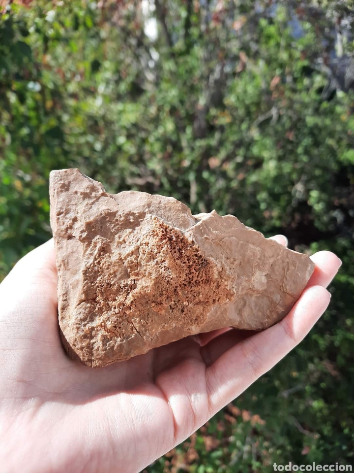 Coleccionismo de minerales: Calcita Miel - Foto 7