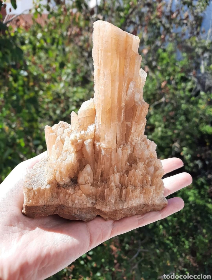 Coleccionismo de minerales: Calcita Miel - Foto 8