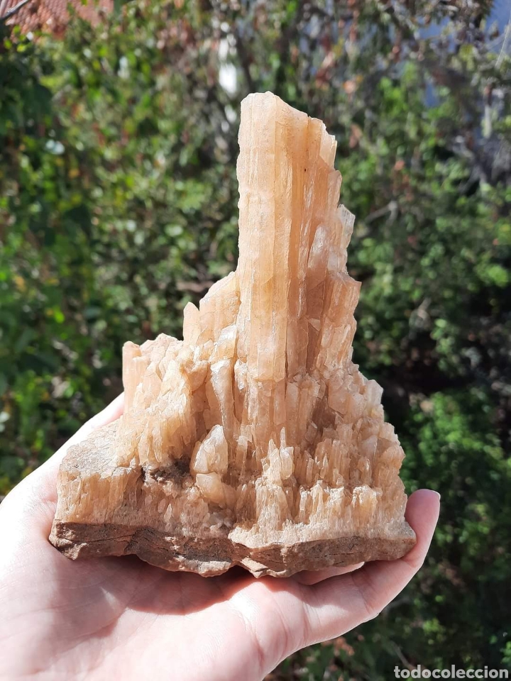 Coleccionismo de minerales: Calcita Miel - Foto 1