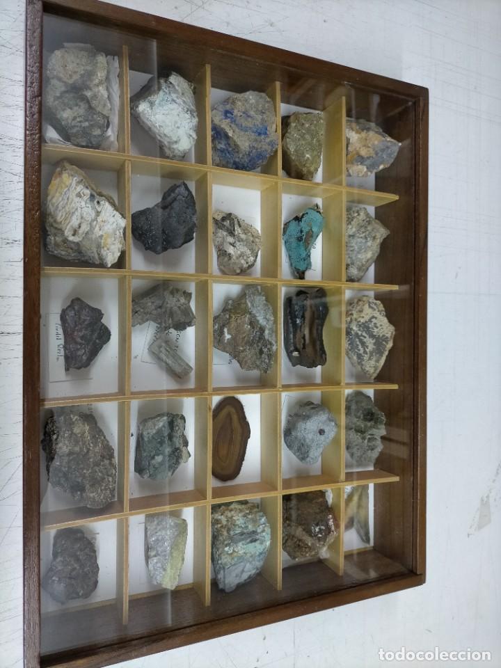 1960ca - antigua coleccion de 25 minerales en c - Compra venta en