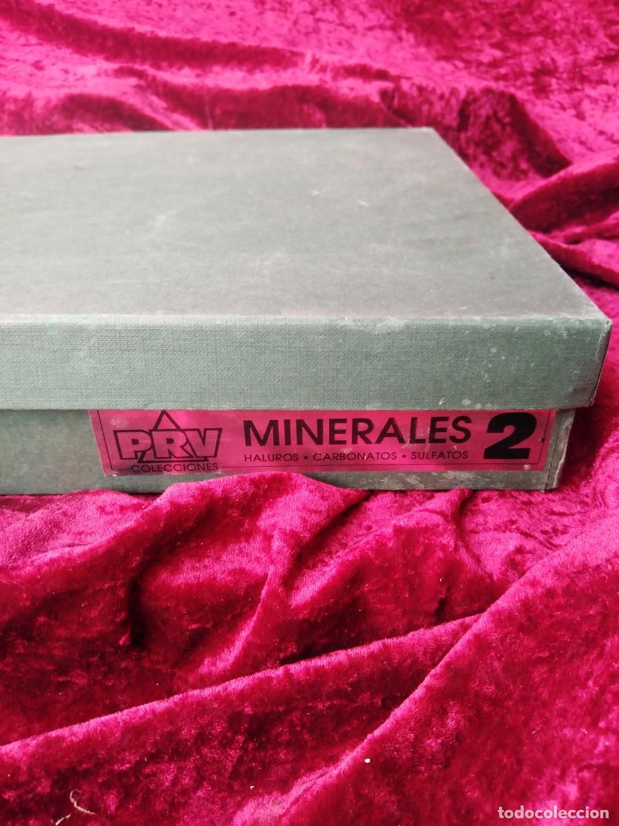 caja minerales. 25 minerales - Compra venta en todocoleccion