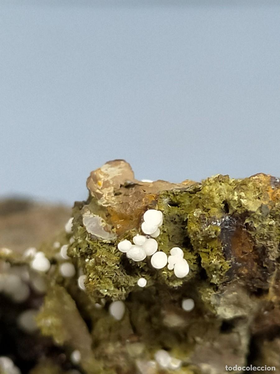 Coleccionismo de minerales: FLUORAPATITO - MINERAL - Foto 1