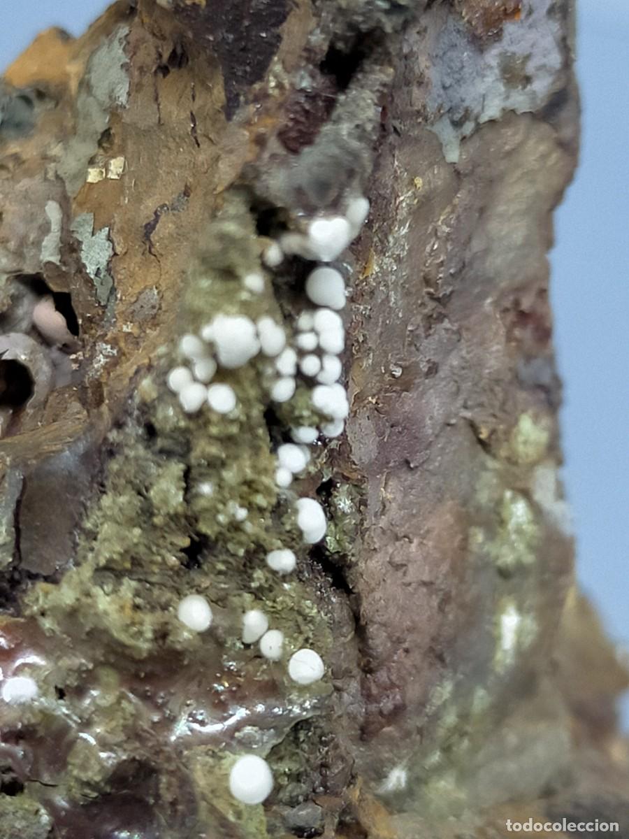 Coleccionismo de minerales: FLUORAPATITO - MINERAL - Foto 3