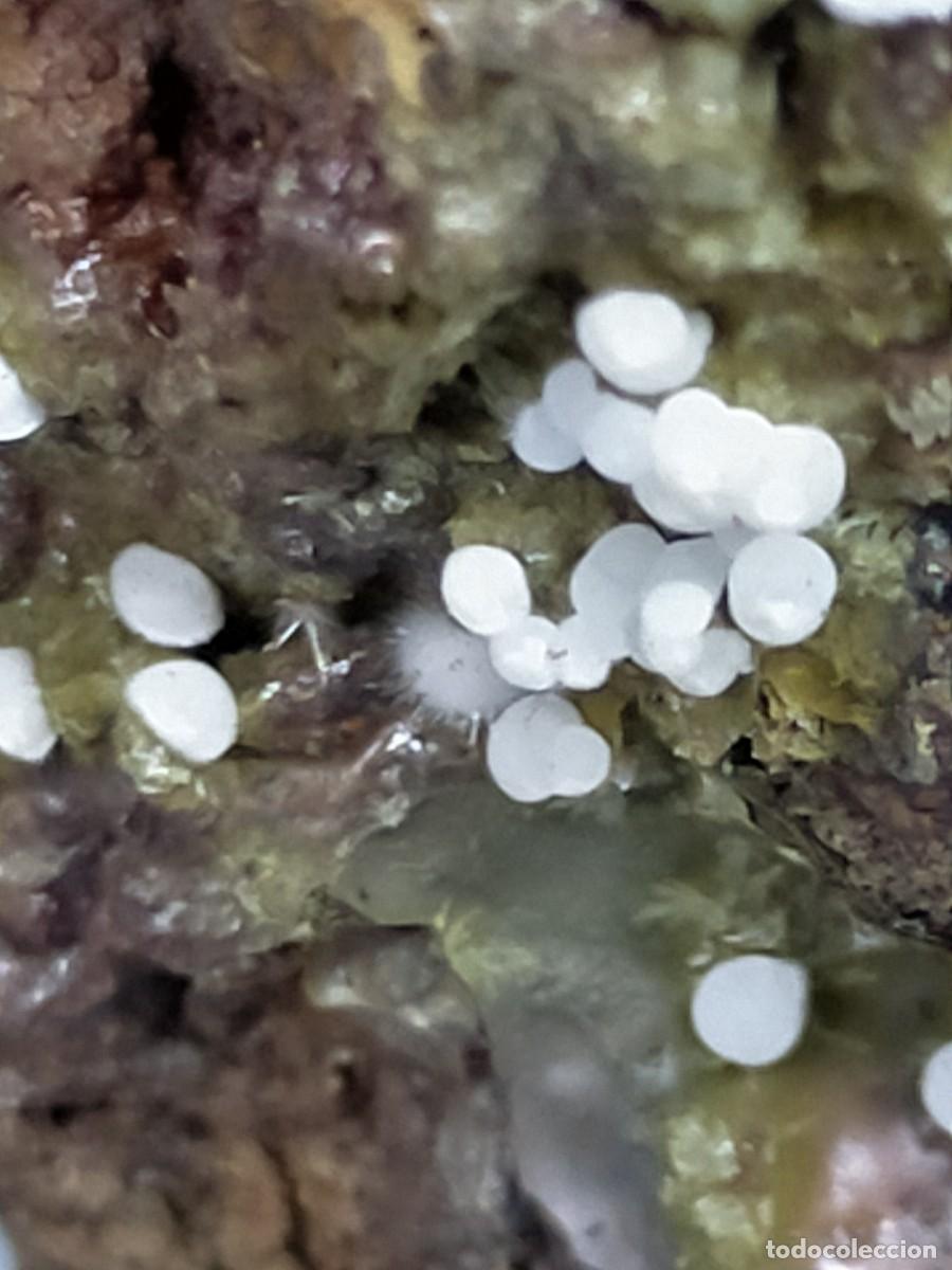 Coleccionismo de minerales: FLUORAPATITO - MINERAL - Foto 4