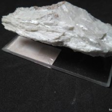 Coleccionismo de minerales: WOLLASTONITA - WOLLASTONITE - XLS - CASIO3 - GUALBA QUARRIES (BARCELONA) SPAIN. Lote 381126684