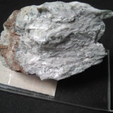 Coleccionismo de minerales: WOLLASTONITA - WOLLASTONITE - XLS - CASIO3 - GUALBA QUARRIES (BARCELONA) SPAIN. Lote 381127099