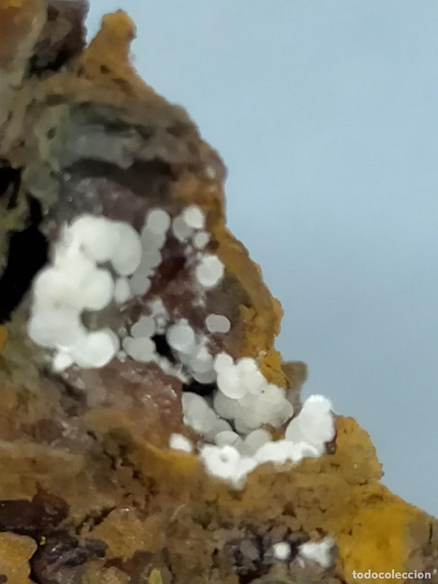 Coleccionismo de minerales: FLUORAPATITO - MINERAL - Foto 3