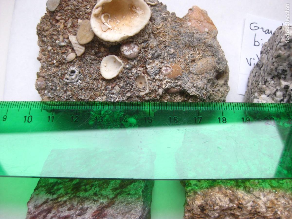 Coleccionismo de minerales: ROCAS 20 LOTE NUM.6 ROCA - Foto 10