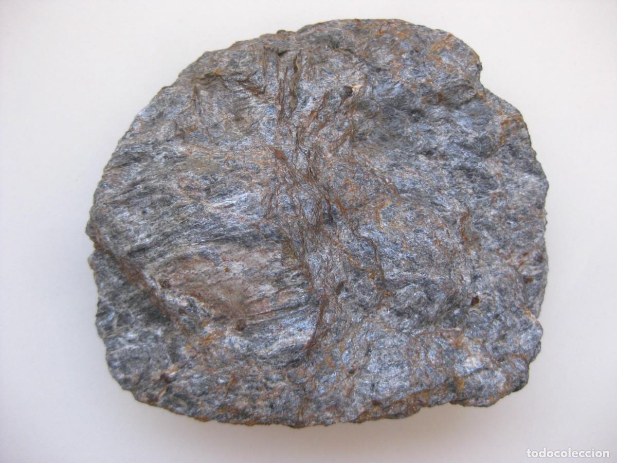 Coleccionismo de minerales: ROCA MICAESQUISTO - Foto 2