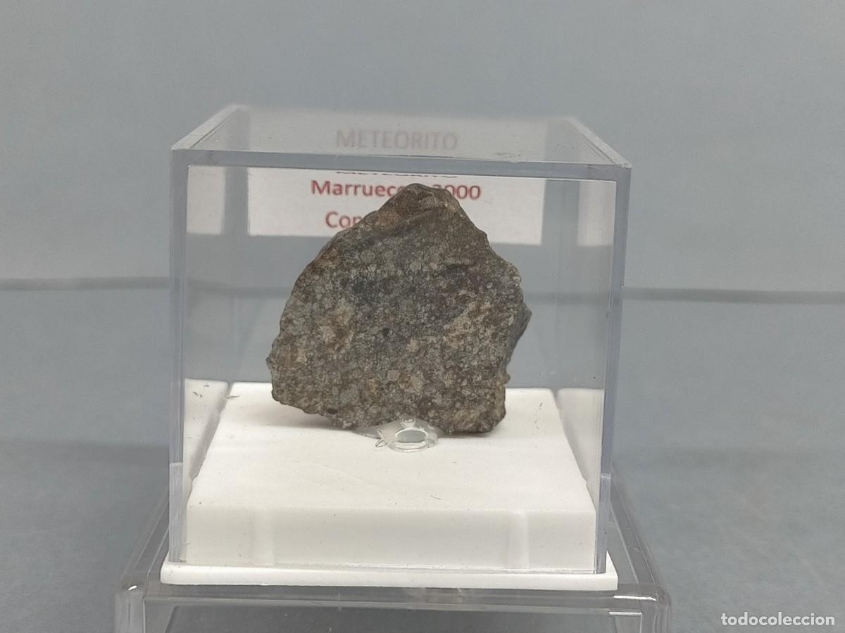 Coleccionismo de minerales: METEORITO. Condrita L4-6 - Foto 1