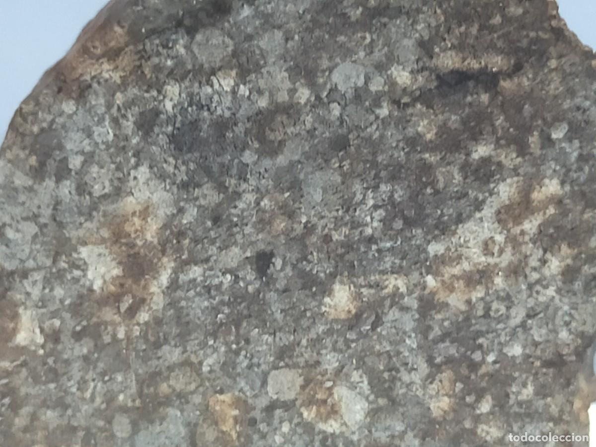 Coleccionismo de minerales: METEORITO. Condrita L4-6 - Foto 2