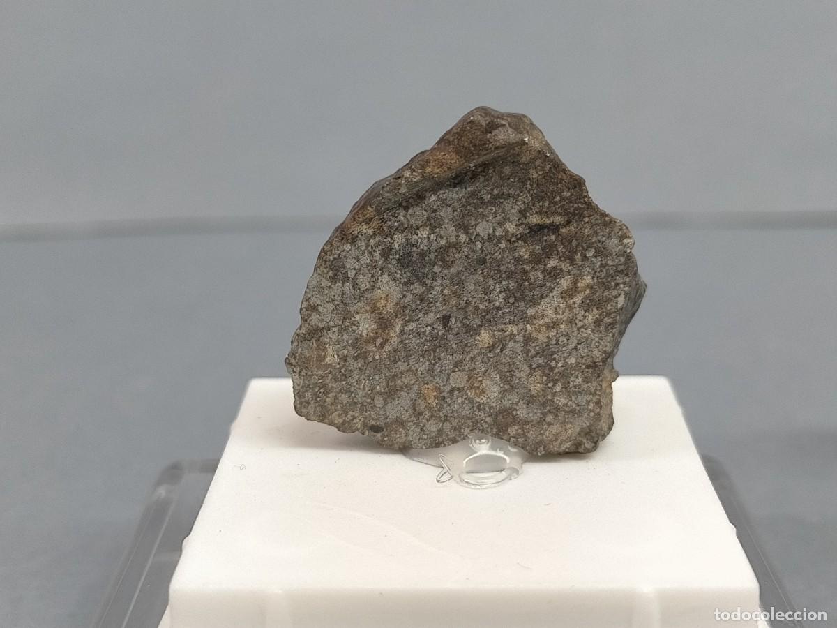 Coleccionismo de minerales: METEORITO. Condrita L4-6 - Foto 3