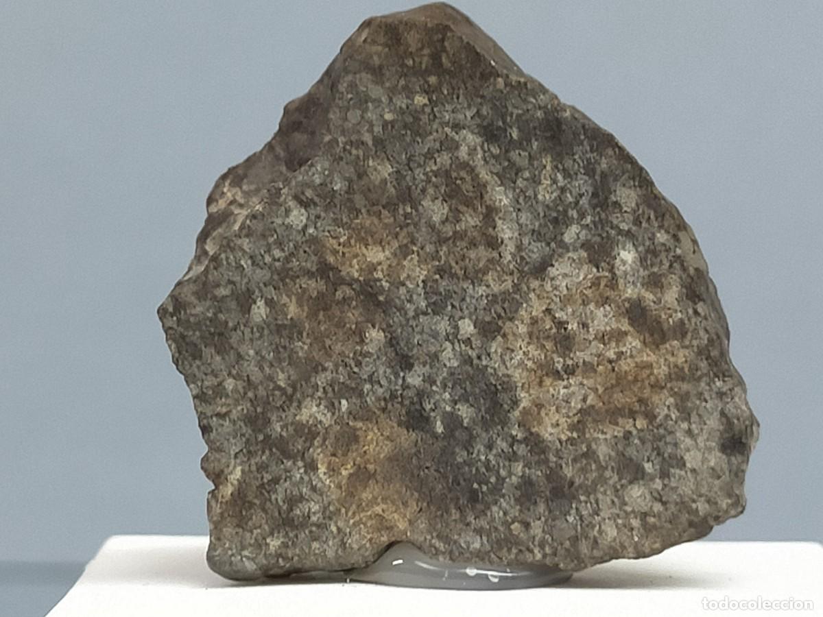 Coleccionismo de minerales: METEORITO. Condrita L4-6 - Foto 5