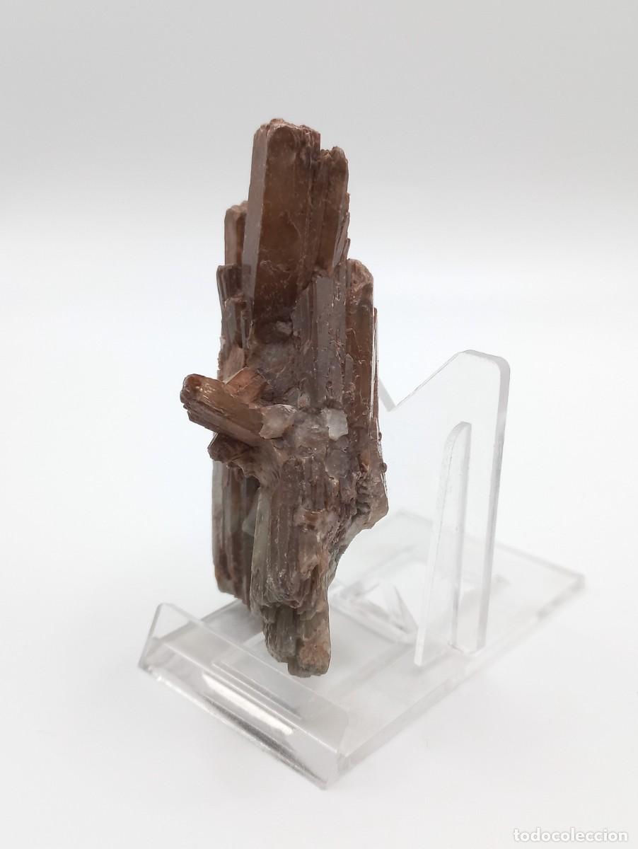 Coleccionismo de minerales: Aragonita maclada - Foto 2