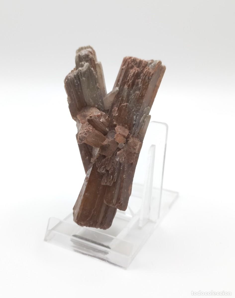 Coleccionismo de minerales: Aragonita maclada - Foto 1