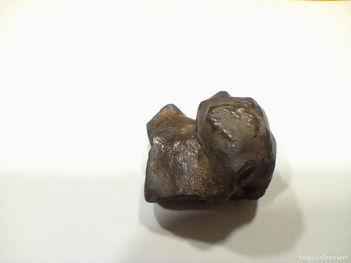 Coleccionismo de minerales: meteorito - Foto 2