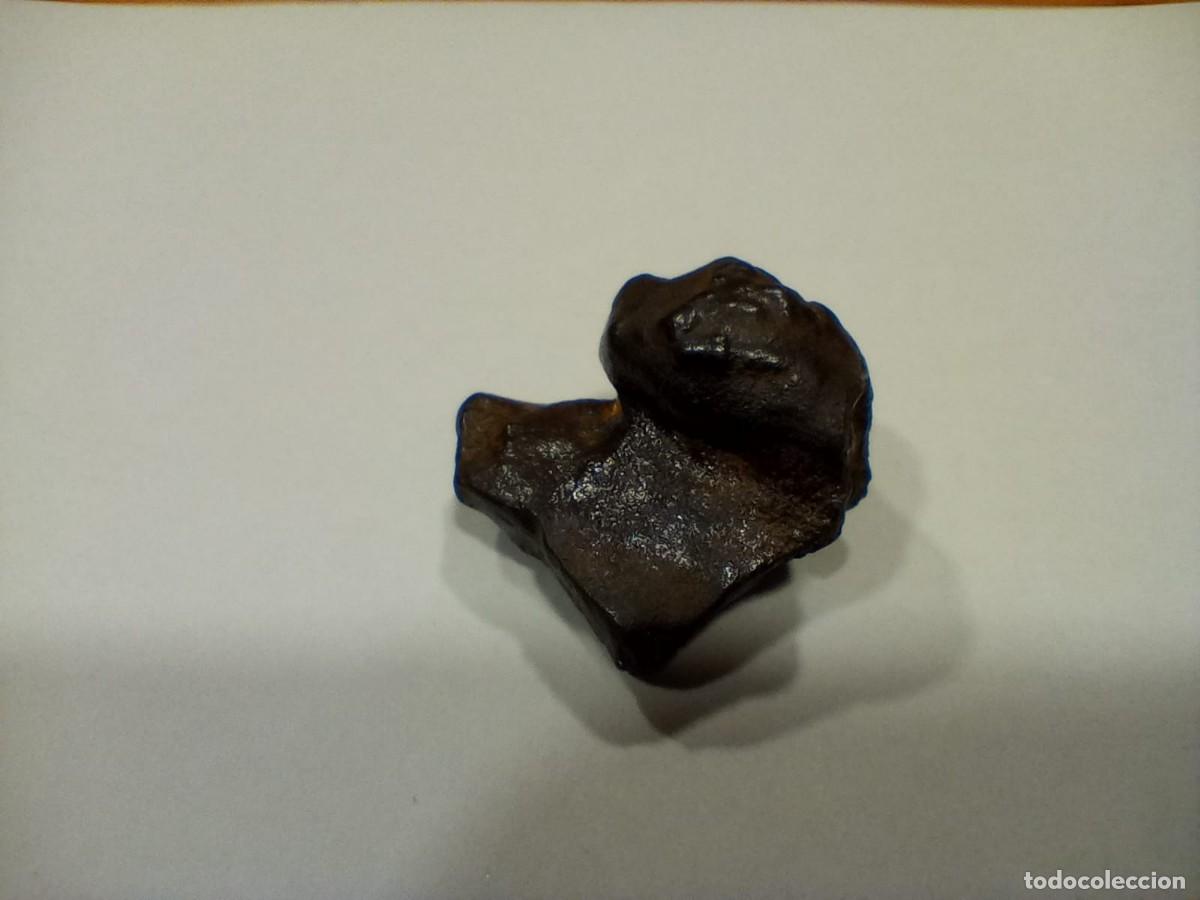 Coleccionismo de minerales: meteorito - Foto 3
