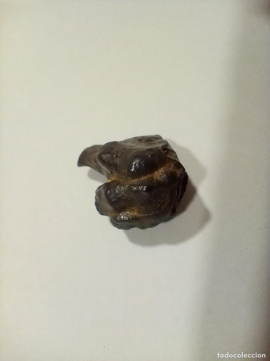 Coleccionismo de minerales: meteorito - Foto 4