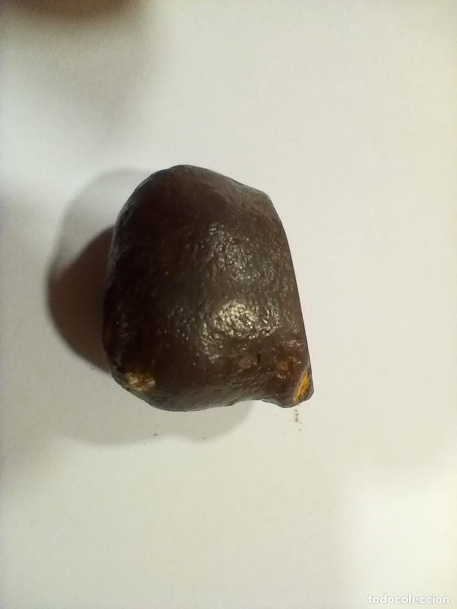 Coleccionismo de minerales: meteorito con seccion cortada - Foto 1