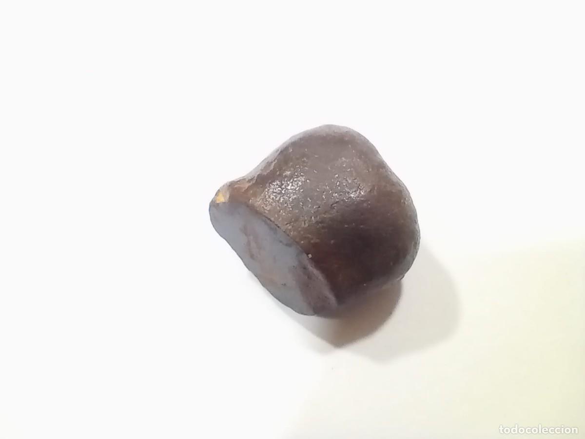 Coleccionismo de minerales: meteorito con seccion cortada - Foto 3