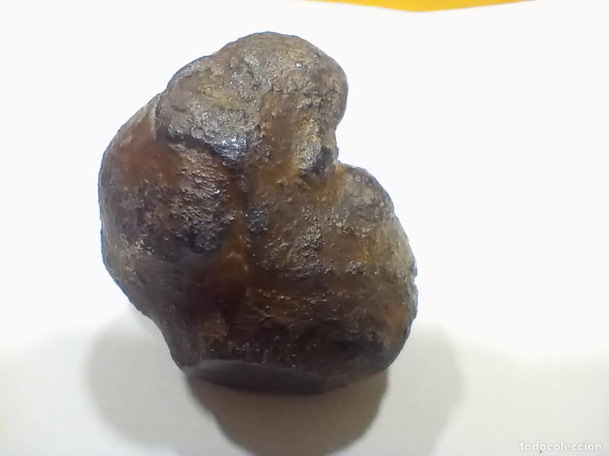 Coleccionismo de minerales: meteorito condrida - Foto 1