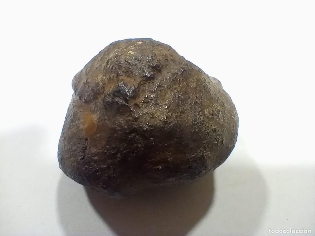 Coleccionismo de minerales: meteorito condrida - Foto 2