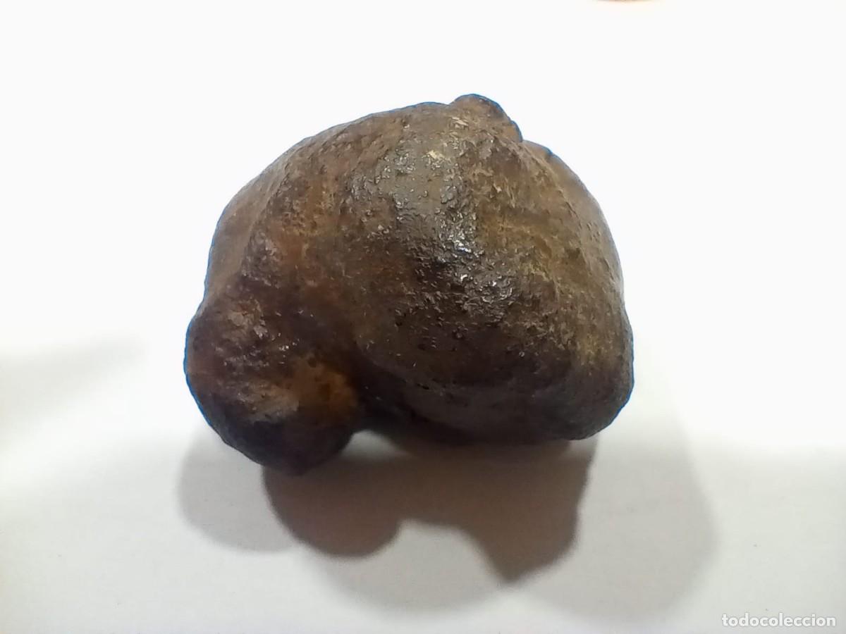 Coleccionismo de minerales: meteorito condrida - Foto 3