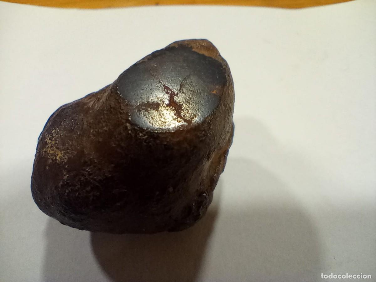 Coleccionismo de minerales: meteorito condrida - Foto 5