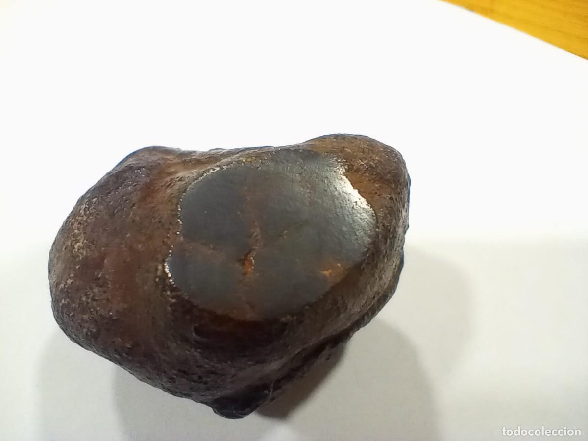 Coleccionismo de minerales: meteorito condrida - Foto 6