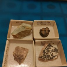 Coleccionismo de minerales: 1BARISCITA Y3 MAS. Lote 393419959